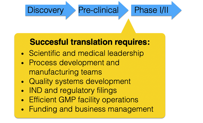 Research and new therapy development